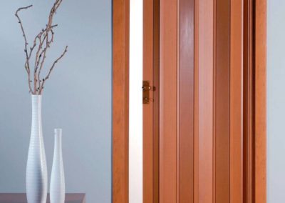 PUERTAS PLEGABLES 008